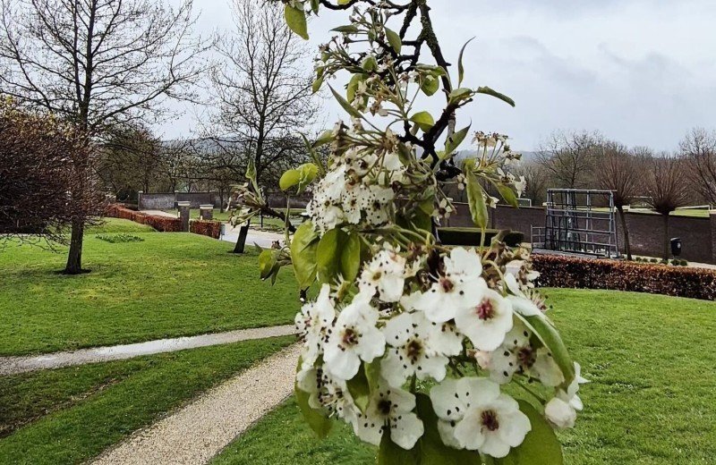 Last minute deal at De Mechelerhof