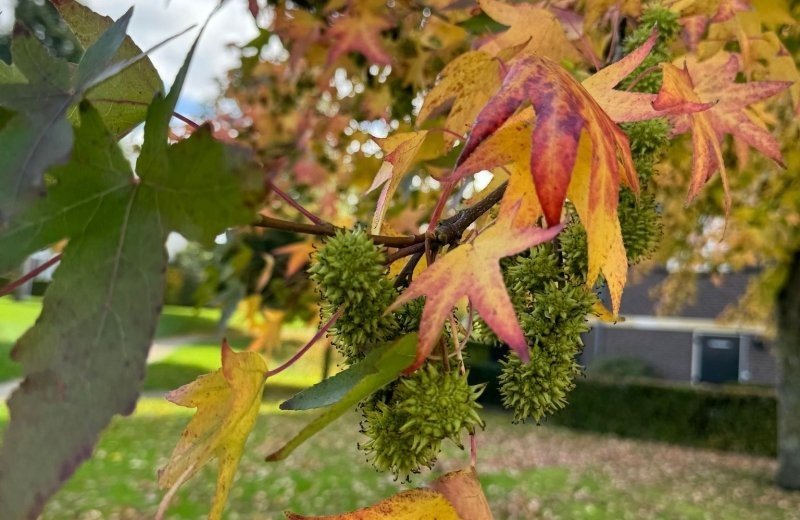 400756397 821764943290774 3266600638431284972 n