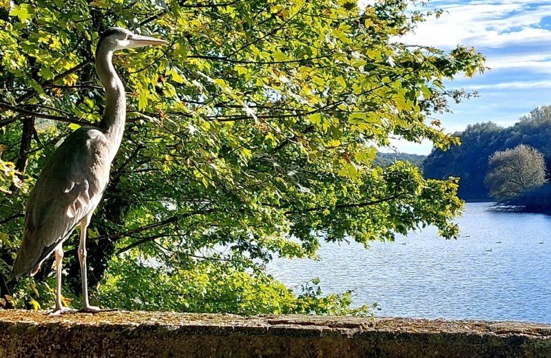 Erenstein Castle route