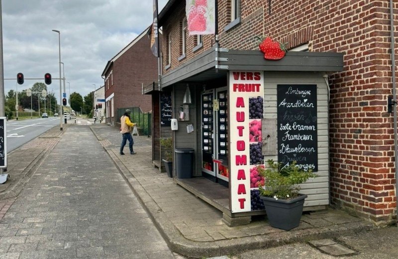 Summer tips near De Mechelerhof