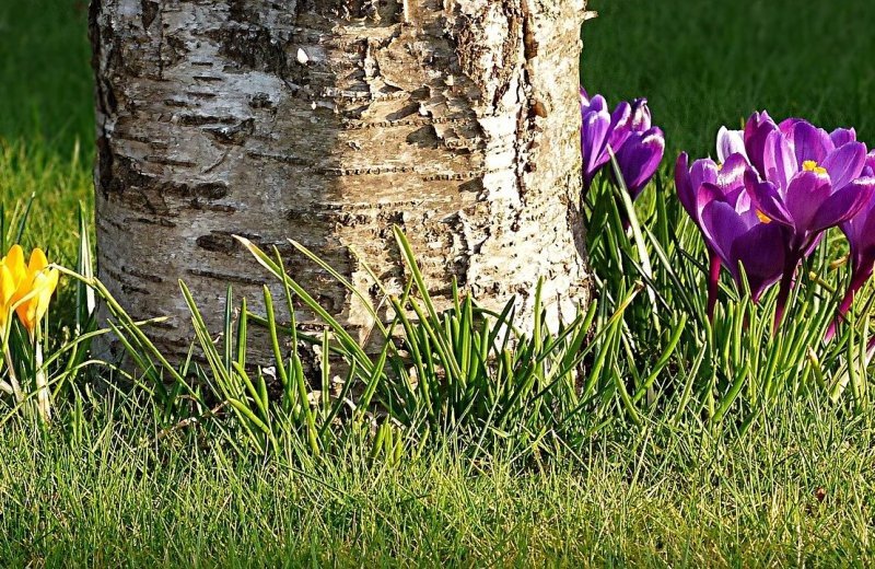 Up to 10% discount at Easter