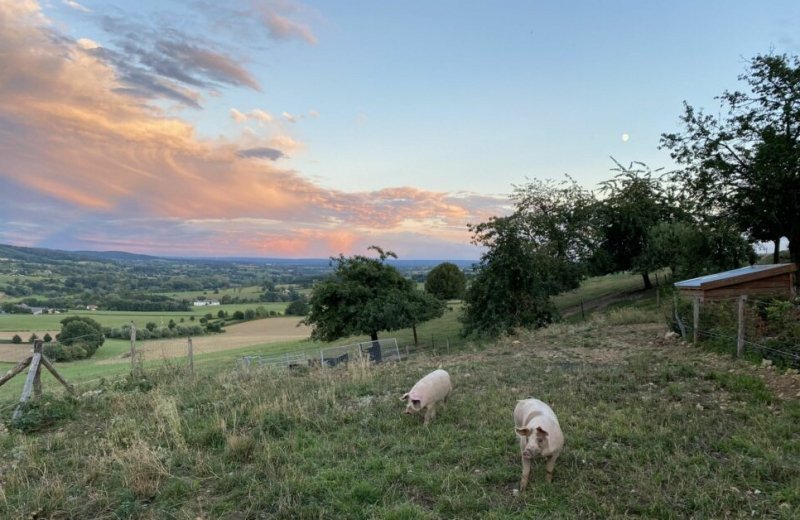 Travel unique magazine thijs peters bij de mechelerhof 2