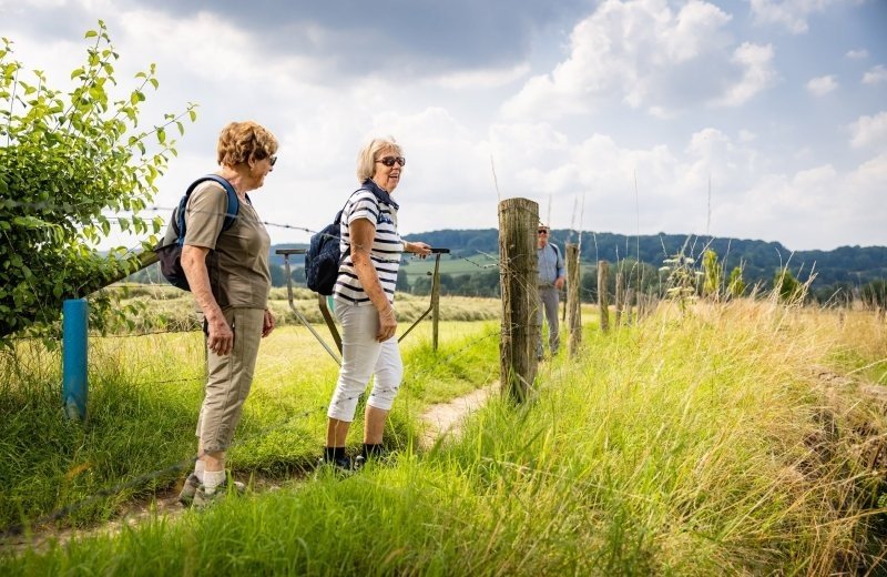 Wandelen door weilanden en stegelkes vlakbij de mechelerhof in zuid limburg