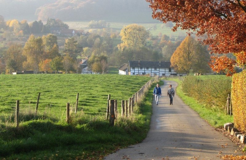 In the beautiful Geuldal