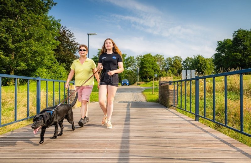 Wandelen met hond in Zuid-Limburg - Mechelerhof hondvriendelijk vakantiepark