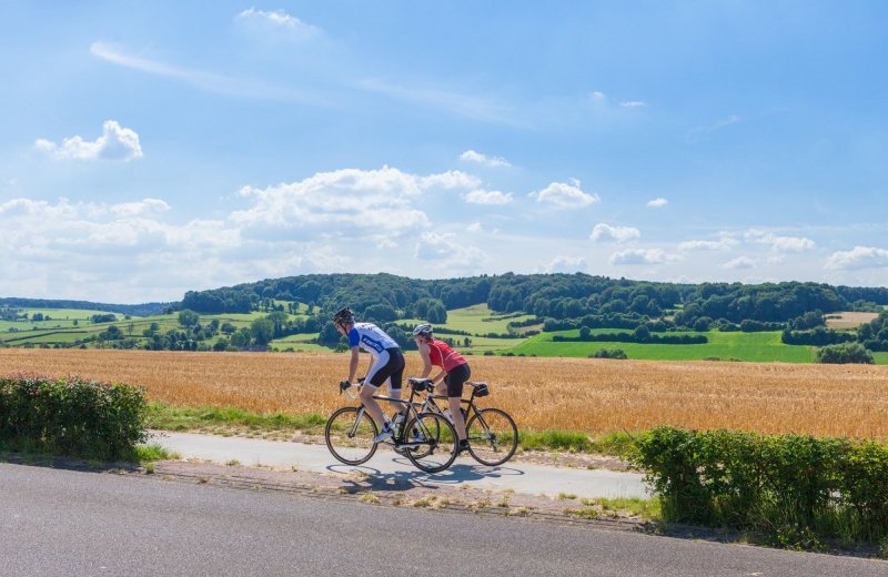 Cycling route along the Maas